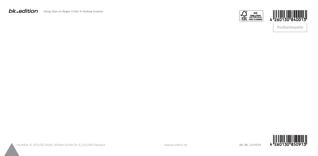 BK-XXL-210034-Orangutan-im-Regen-RS.jpg