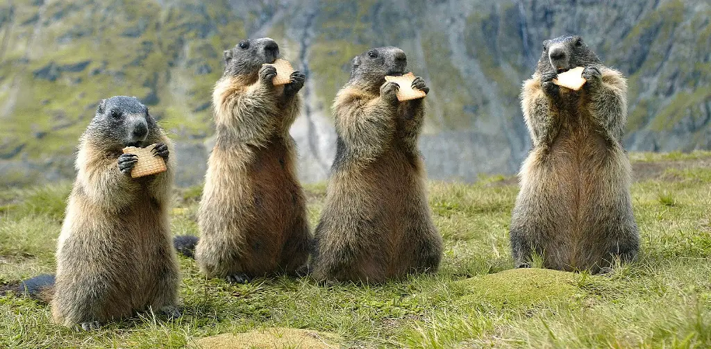 GEO-XXL-Postkarte »Relikte der Eiszeit«