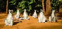 GEO-XXL-Postkarte »Katta-Gruppe«
