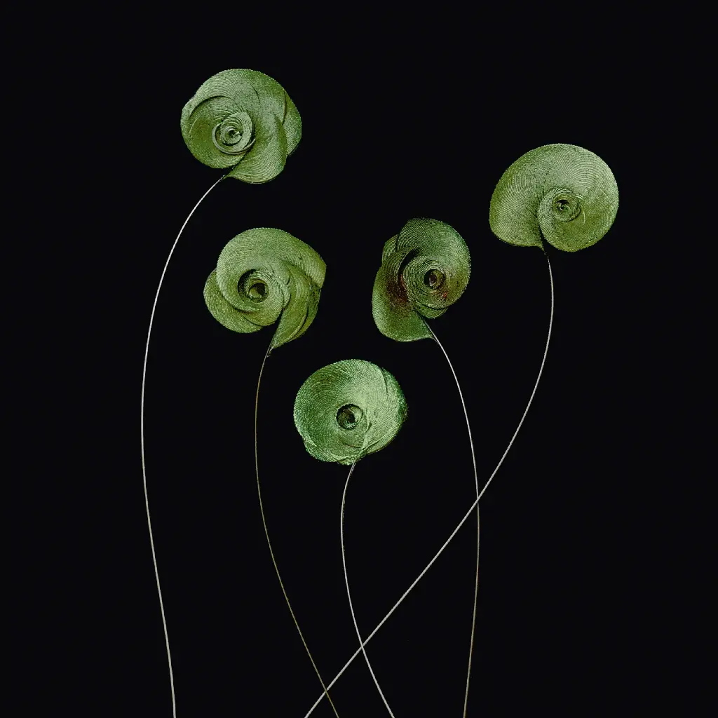 GEO-Doppelkarte »Verschnörkelt«