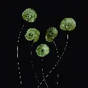 GEO-Doppelkarte »Verschnörkelt«