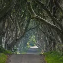 GEO-Doppelkarte »The Dark Hedges«