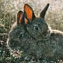 BK-Doppelkarte »Stimmungsvoll«