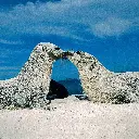 BK-Doppelkarte »Galápagos-Seelöwen«