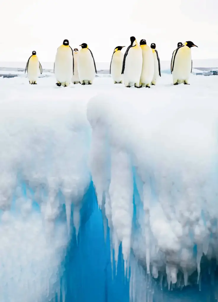 GEO-A6-Postkarte »Festlich«