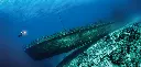 BK-XXL-Planet Ozean-Postkarte »Wrack vor den Bahamas«