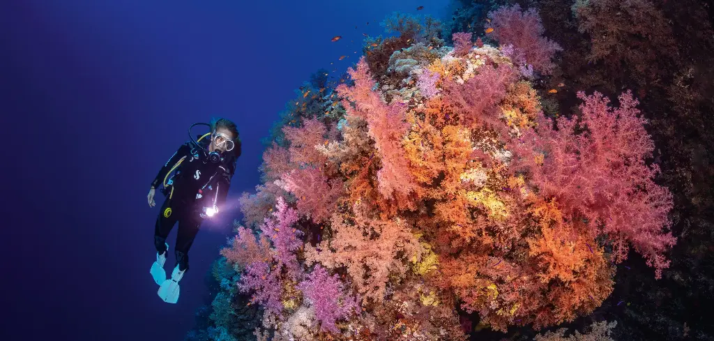 BK-XXL-Planet Ozean-Postkarte »Korallenriff mit Taucherin in Ägypten«