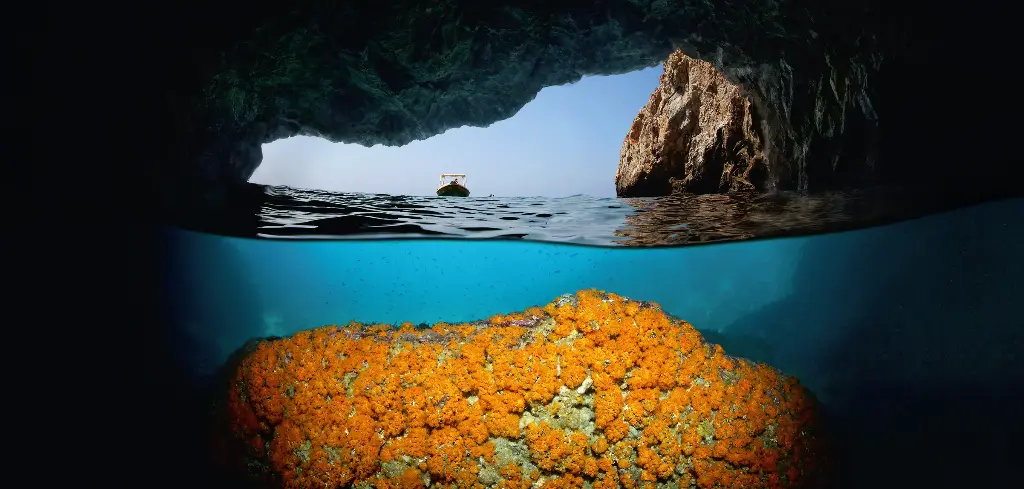 BK-XXL-Planet Ozean-Postkarte »Kaverne mit kleinen, gelben Anemonen, Mittelmeer«