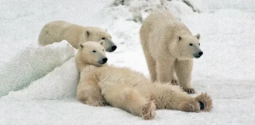 [GEO-XXL-211413] GEO-XXL-Postkarte »Coole Typen«