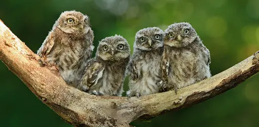 [GEO-XXL-211485] GEO-XXL-Postkarte »Augen-Blick«