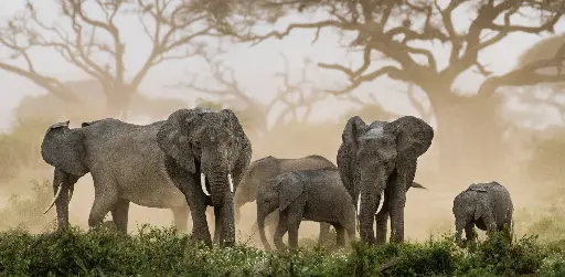 [GEO-XXL-211523] GEO-XXL-Postkarte »Unter sich«