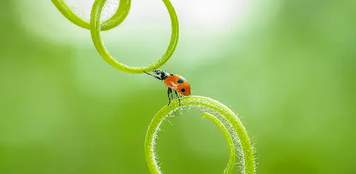 [GEO-XXL-211526] GEO-XXL-Postkarte »Glück gehabt«