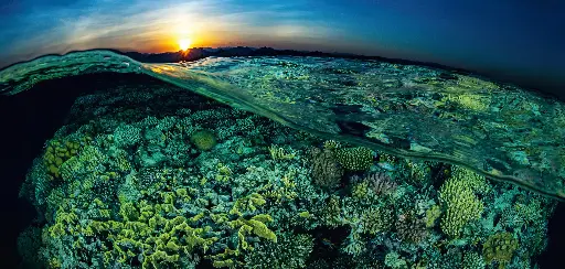 [BK-XXL-411001] BK-XXL-Planet Ozean-Postkarte »Flaches Riff in Ägypten im Sonnenuntergang«